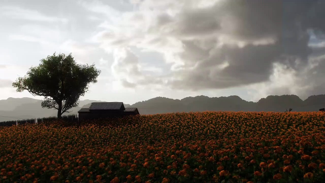 Forza Horizon 5 - Farmland