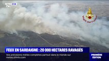 En Sardaigne, 20.000 hectares sont déjà partis en fumée dans un immense feu de foret