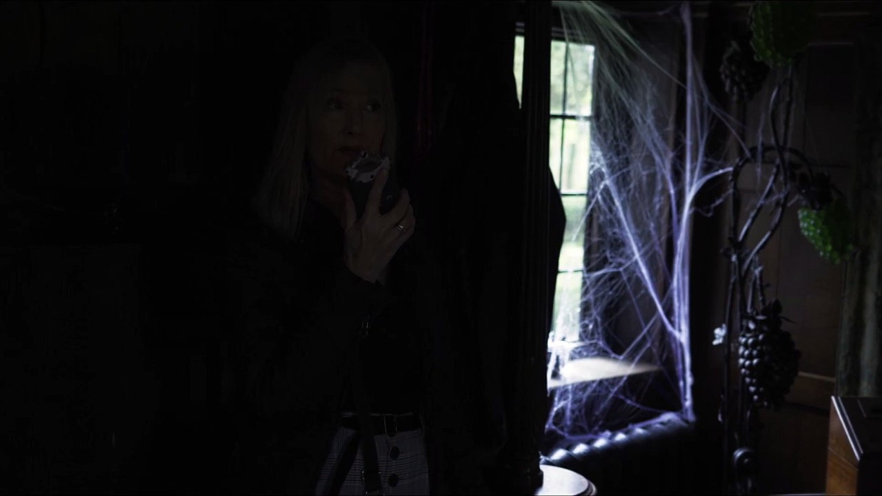 SPIDER IN THE ATTIC Trailer