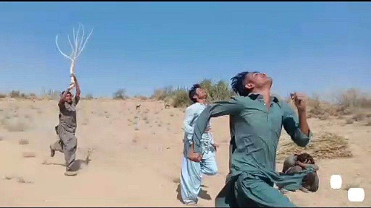 Best Funny video 2021