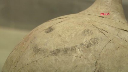 DÜNYANIN İLK 'GÜLÜCÜK' EMOJİSİNE 1 AYDA 10 BİN ZİYARETÇİ