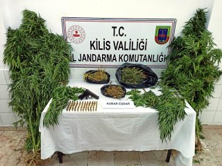 Kilis'te esrar operasyonu: 5 gözaltı