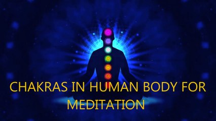 CHAKRAS IN HUMAN BODY FOR MEDITATION