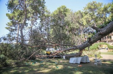 Kır düğününde 1 kişinin öldüğü restoranın işletmecisi: İhmal yok