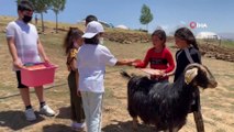 BİLSEM öğrencileri yaptıkları ahşap oyuncakları köy çocuklarına hediye etti