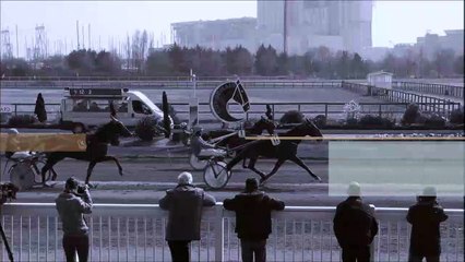 Pronostic Quinté PMU du mercredi 28 juillet 2021