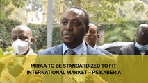 Miraa to be standardized to fit international market - PS Kaberia