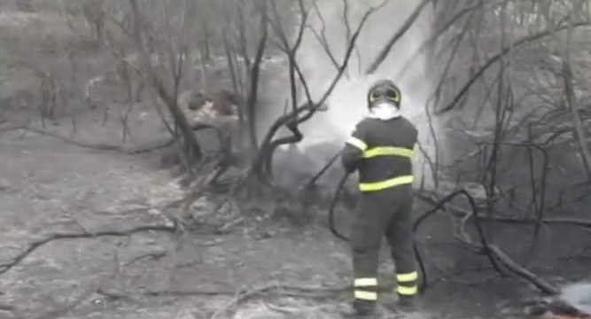 Incendi nell'Oristanese, 40 interventi dei Vigili del Fuoco in una sola notte (27.07.21)