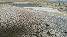 Konya’da dehşete düşüren kuraklık manzarası