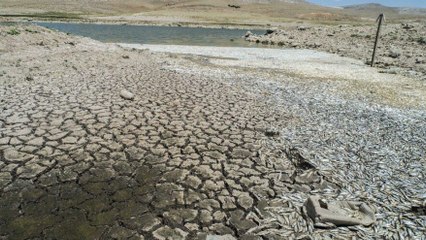 Konya’da dehşete düşüren kuraklık manzarası