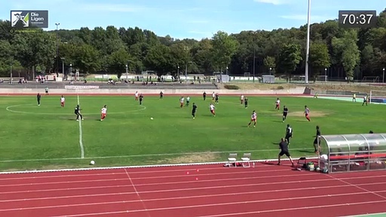 ORCAS VIDEO 1