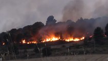 Incendi nel Palermitano, canadair in azione a Castelnuovo di Sicilia (27.07.21)