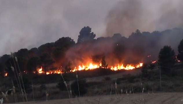 Incendi nel Palermitano, canadair in azione a Castelnuovo di Sicilia (27.07.21)
