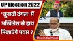 UP Election 2022: Sharad Pawar की NCP भी चुनाव दंगल में, Akhilesh संग मिलाएंगे हाथ | वनइंडिया हिंदी
