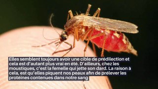Voici pourquoi les moustiques sont attirés par des personnes plus que d’autres_IN