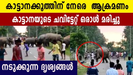 കാട്ടാനക്കൂട്ടത്തിന് നേരെ നാട്ടുകാരുടെ പ്രകോപനം. ഒരാളെ ചവിട്ടിക്കൊന്നു | Oneindia Malayalam