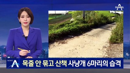 목줄·입마개 안 해…사냥개 6마리 습격에 모녀 위중