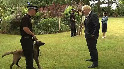 Boris Johnson admits pet dog's 'endless romantic urges'