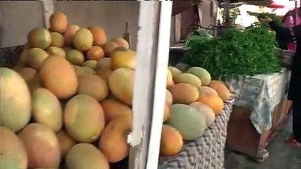Point Marché au marhé de Bou Mhel el-Bassatine du Lundi  26 Juillet 2021
