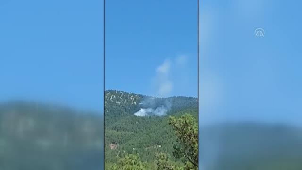 Kozan'da orman yangını