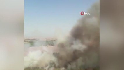 Son dakika haberi: Adana'da orman yangını