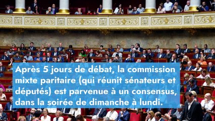 Les salariés ne respectant pas l’obligation vaccinale pourront-ils vraiment être licenciés ?