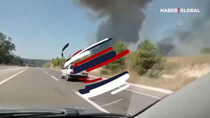 Adana'da iki bölgede orman yangını