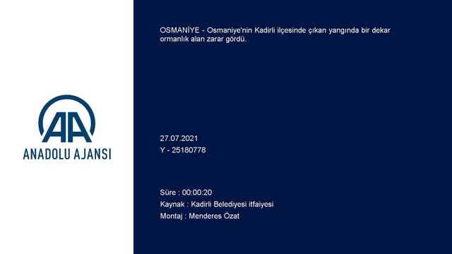 OSMANİYE - Kadirli'de çıkan orman yangını söndürüldü