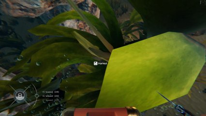 Bermuda : Lost Survival Let's Planting,make soup, soil and salt