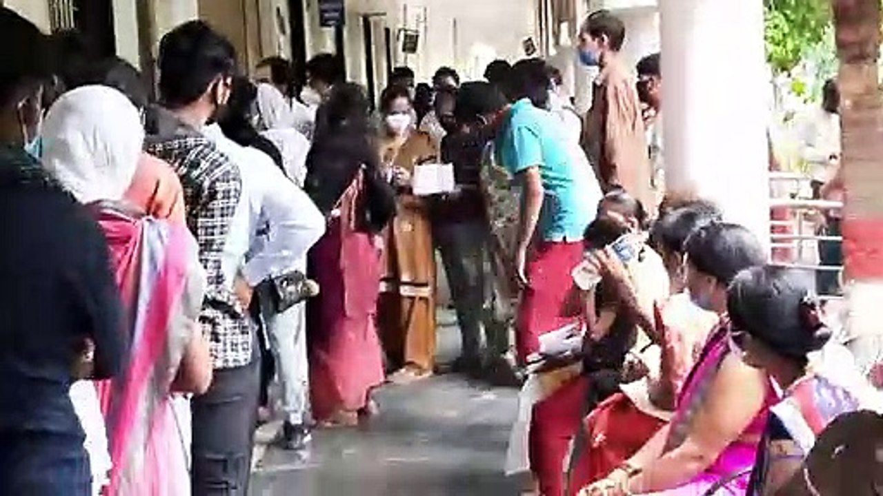 शहर में पैर पसार रहीं मच्छर जनित बीमारियां