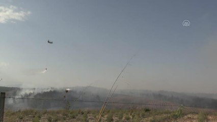 Son Dakika | Sarıçam'da çıkan orman yangını kontrol altına alındı