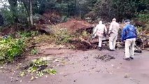 Árvore cai sobre a via na Rua Cuiabá, após chuva forte atingir a cidade pela manhã