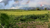 Hatay'da sazlık yangını kontrol altına alındı