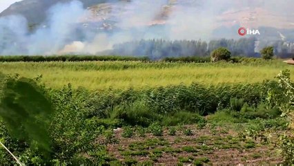 Hatay'da sazlık yangını kontrol altına alındı