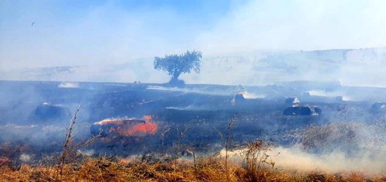 Susurluk'ta 100 dönüm arazi ve 350 saman balyası yandı