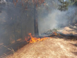 Kadirli'de çıkan orman yangını söndürüldü