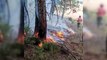 Vatandaşların dikkati orman yangının önüne geçti