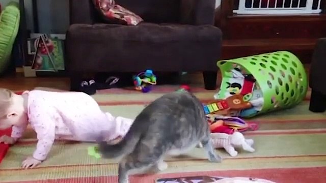 Cats and Babies are Best Friends _ Cute Baby and Cats compilation