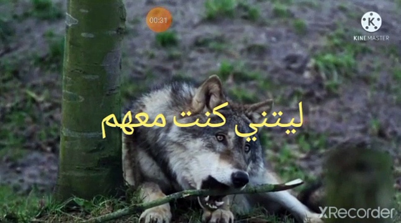 تمني أصحاب الإيمان قدوم يوم الجمعة وطعام هذه المرأة