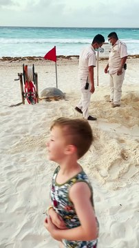Rescuing an Exhausted Mama Sea Turtle