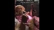 Funny and Cute  Golden Retriever Puppies Compilation #1 - Cutest  Golden Retriever