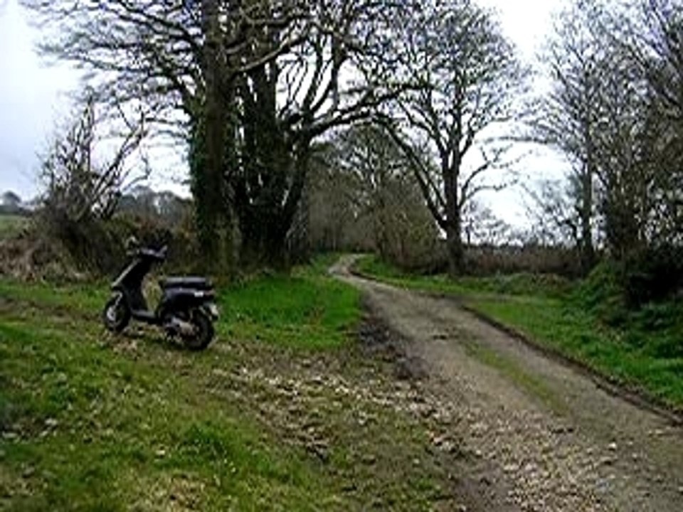 P1010008