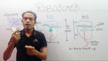 9th Biology,Ribosomes,ms patel e learning_HD