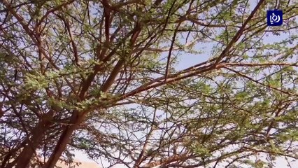 شاب وصديقه ينجوان من الغرق بعد بقائهما في الماء 7 ساعات