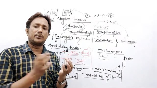 11th Biology,kingdom monera,ms patel e learning,ms patel