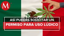 ¿Cómo obtener permiso de la Cofepris para consumir mariguana_