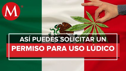 ¿Cómo obtener permiso de la Cofepris para consumir mariguana_