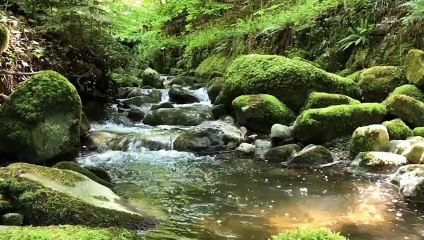 وعجزت عن مدح الحبيب