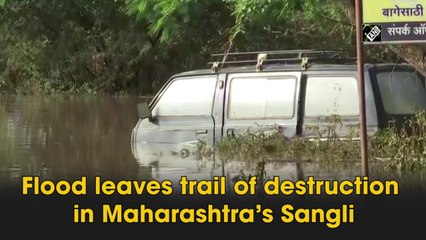 Flood leaves trail of destruction in Maharashtra’s Sangli