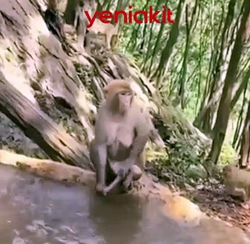 Rus gozallari bokira qizlarning erotik fotosuratlari